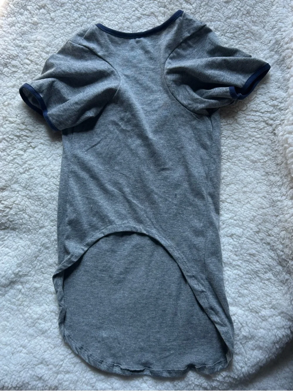 “Did someone say walk?” Dog t-shirt L
